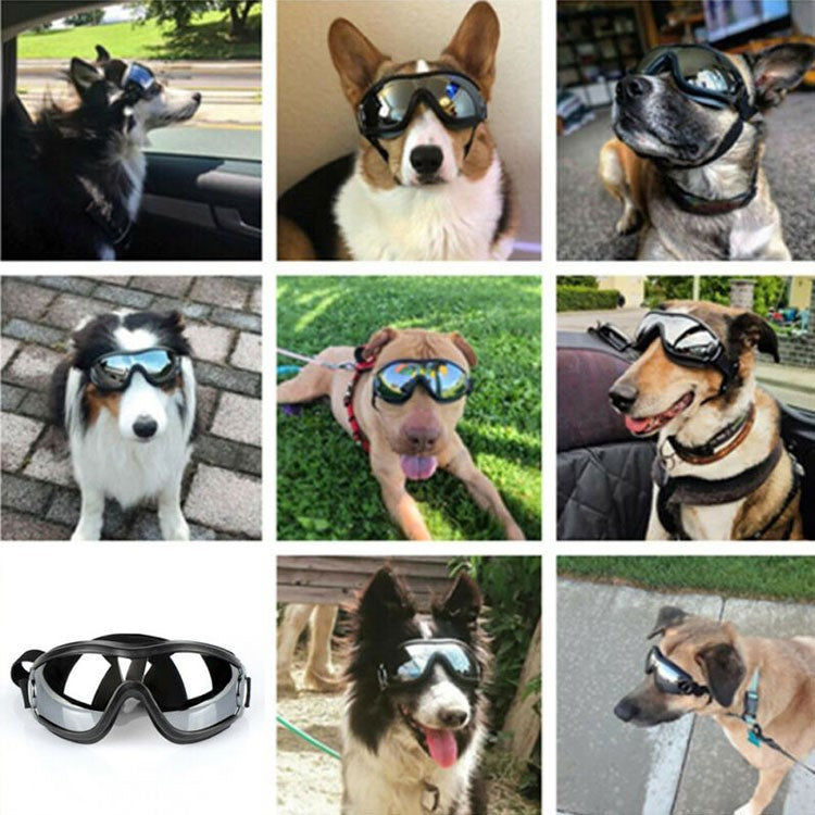 Dog glasses