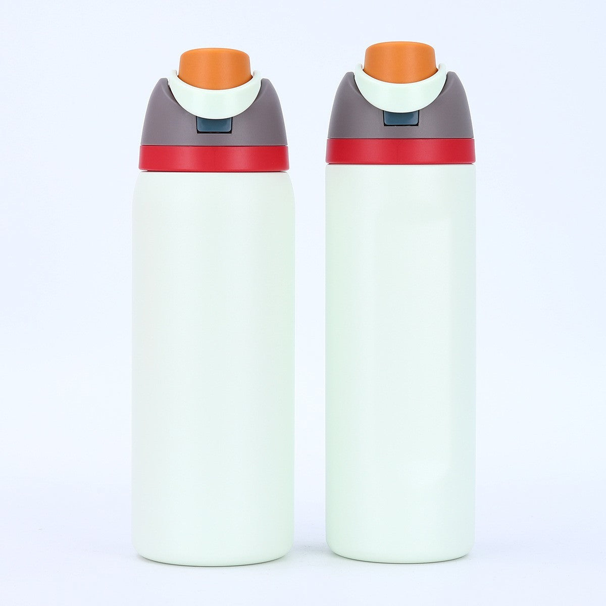 FreeSip Insulated Stainless Steel Water Bottle