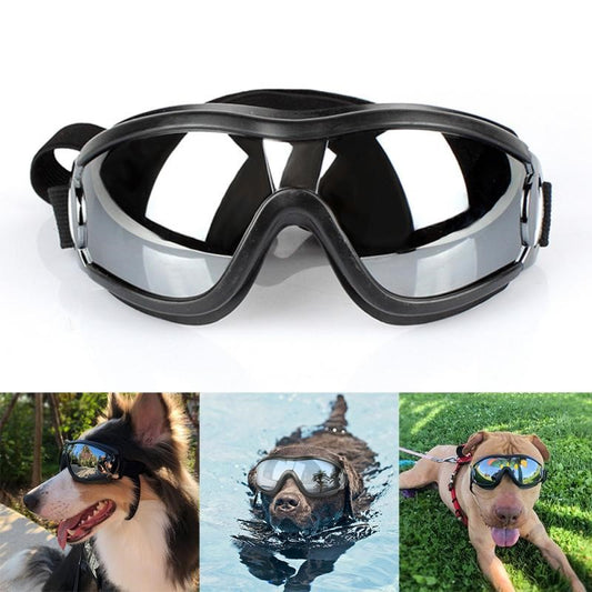 Dog glasses